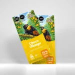 Choco Mango 55% cacao